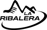 Race Logo